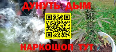 прущие грибы Гай
