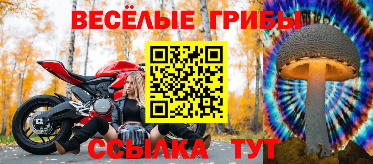 Псилоцибиновые грибы мицелий  Псилоцибиновые грибы Cubensis  Вологда  Вход с VPN 