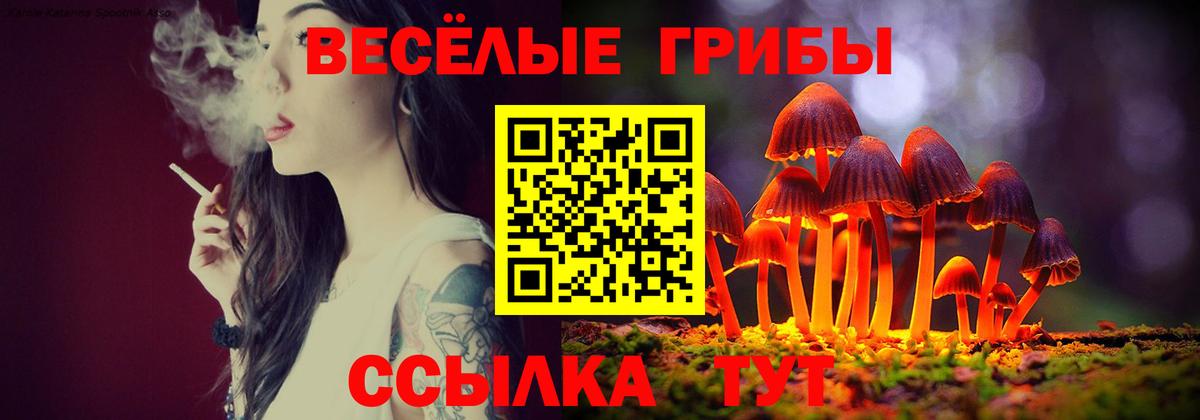 Галлюциногенные грибы Cubensis Вологда
